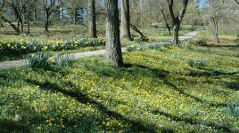 Bartram's Garden, Philadelphia, PA