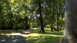 Awbury Arboretum, Philadelphia, PA