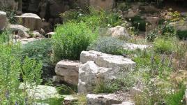 Alpine Rock Garden, Denver Botanic Gardens, Denver, Colorado