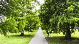 Annunciation Square, New Orleans, LA