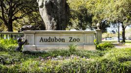 Audubon Zoo, New Orleans, LA