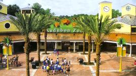 Audubon Zoo, New Orleans, LA