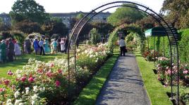 Emerald Necklace