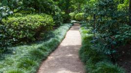 Bayou Bend, Houston, TX