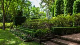 Bayou Bend, Houston, TX