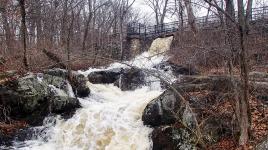 Beaver Brook Reservation, Belmont, MA