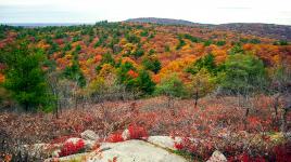 Blue Hills Reservation, Milton, MA