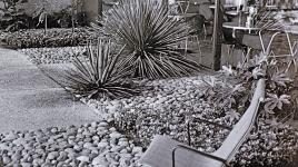 The Nut Tree, Vacaville, CA