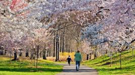 Branch Brook Park, Newark, NJ 