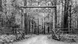 Briarwood: Caroline Dorman Nature Preserve, Saline, LA