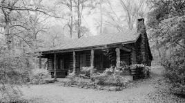 Briarwood: Caroline Dorman Nature Preserve, Saline, LA