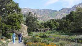 Santa Barbara Botanic Garden, CA