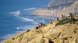 Torrey Pines State Natural Reserve, San Diego, CA 