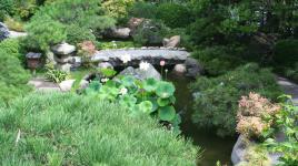 Hannah Carter Japanese Garden