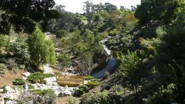 Japanese Friendship Garden, Balboa Park, San Diego, CA