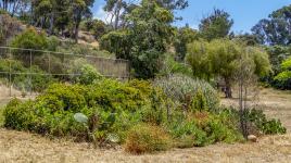 Presidio Hills Golf Course, San Diego, CA