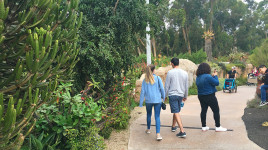 San Diego Zoo, San Diego, CA