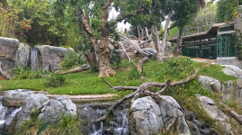 San Diego Zoo, San Diego, CA