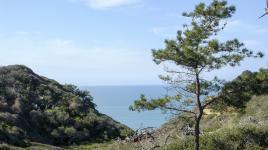 Torrey Pines State Natural Reserve, San Diego, CA 