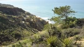 Torrey Pines State Reserve, San Diego, CA