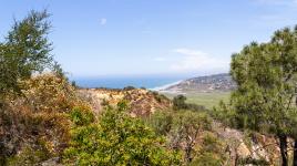 Torrey Pines State Natural Reserve, San Diego, CA