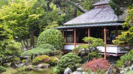 Golden Gate Park Japanese Tea Garden, San Francisco, CA