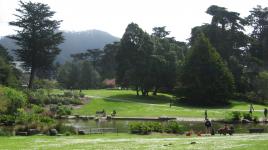 Strybing Arboretum (San Francisco Botanical Garden) at Golden Gate Park, San Francisco, CA