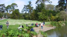 Strybing Arboretum (San Francisco Botanical Garden) at Golden Gate Park, San Francisco, CA