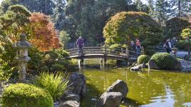 San Mateo Tea Garden, San Mateo, CA