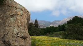 Santa Barbara Botanical Garden, CA