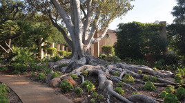 Val Verde, Santa Barbara, CA