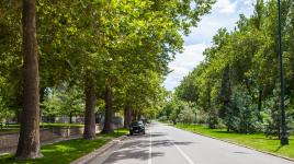 South Marion Street Parkway, Denver, CO