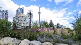 Canadian National Tower, Toronto, ON, Canada