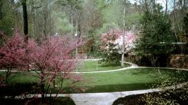 Canterbury Court Garden, Atlanta, GA