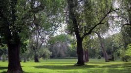 Cazenovia Park, Buffalo, NY 