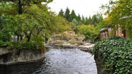 Central Park Zoo, New York, NY