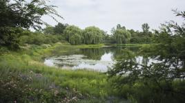 Chicago Botanic Garden