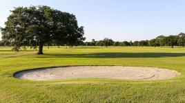 City Park Golf Course, New Orleans, LA