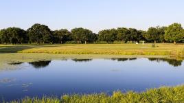 City Park Golf Course, New Orleans, LA