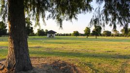 City Park Golf Course, New Orleans, LA