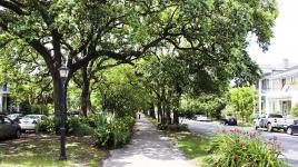 Coliseum Square, New Orleans, LA