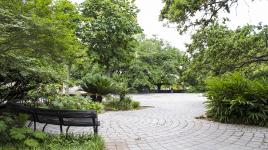 Congo Square, New Orleans, LA