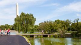 Constitution Gardens, Washington, DC