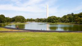 Constitution Gardens, Washington, DC