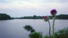 Cooper River Park, Pennsauken Township, NJ