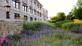 American University, Washington, D.C.