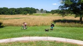 National Arboretum, Washington, DC