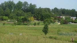 National Arboretum, Washington, DC