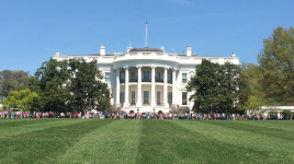 White House Grounds, Washington, D.C.