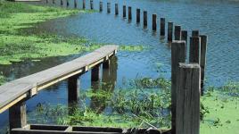 Greenwood Pond: Double Site, Des Moines, IA 